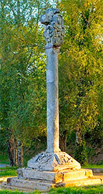 Camino de Santiago Walking Pilgrimage